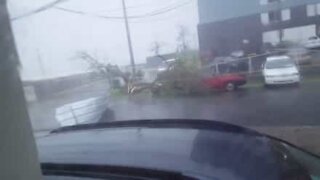 Quand l'ouragan Maria s'abat sur Porto Rico