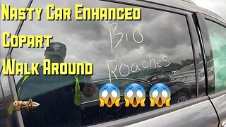 Copart Walk Around Car Totaled by Roaches!