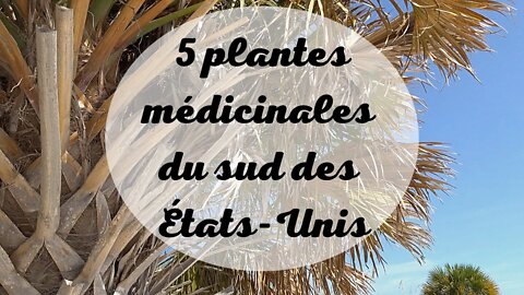 5 plantes médicinales du sud des États Unis : herboristerie.