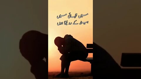 urdu sad poetry#shorts #status