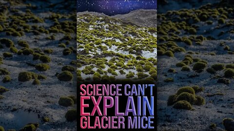 Science Can't Explain Glacier Mice 🤯 #shorts