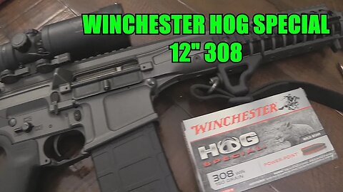 150gr Winchester Hog Special 12 308