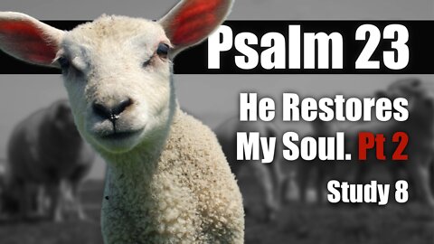 Ps 23:3 He restores my soul Pt 2