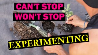 Never Stop Experimenting in the Garden | Keep What Serves You, Change Everything Else