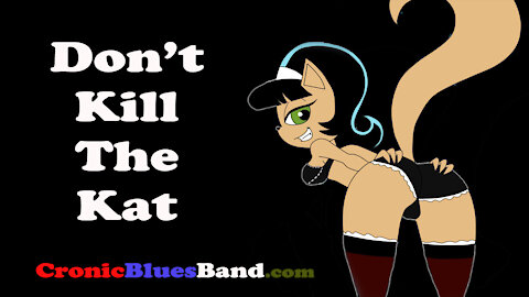 Dont Kill The Kat performed by Chronic Blues Band