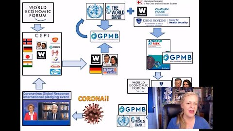 Amazing Polly Connecting Dots On The Global Health Mafia - May 2020