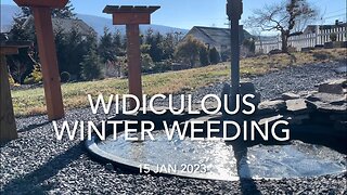 Widiculous Winter Weeding