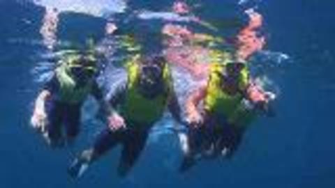 Snorkeling the Florida Reef