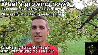 What is my favorite tree? Music? What's growing?