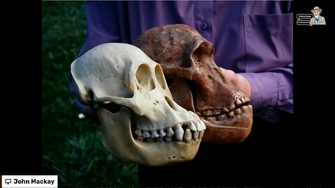 Was Lucy an Ape or Human? #lucy #apeman #evolution