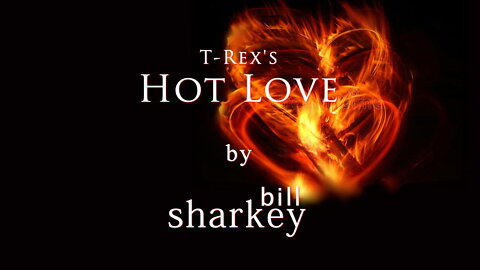 Hot Love - T-Rex (cover-live by Bill Sharkey)