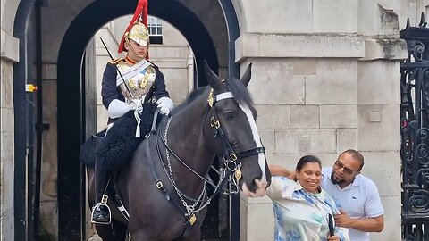 Heart warming moment ❤️ kings moves is horse for blind girl to stroke #thekingsguard