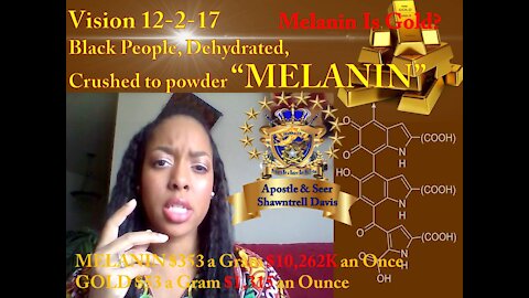 Revelation Vision: 12-2-17 MELANIN Black & Nigerians, Dehydrated, Ground to Powder TESTING