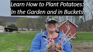 How to Grow Hundreds of Pounds of Potatoes!!