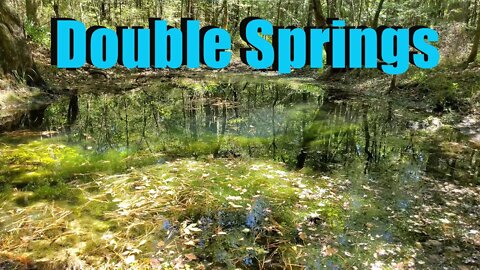 Double Springs with sound at the Wakulla State Forest!