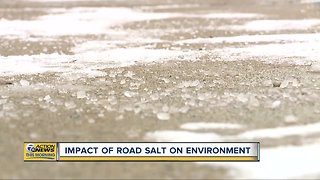 Impact of road salt on environment