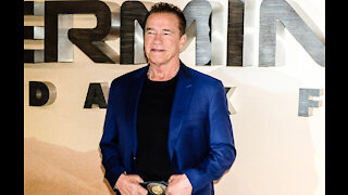 Arnold Schwarzenegger didn't expect his daughter to marry an actor