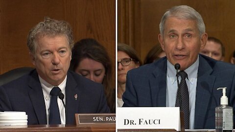 Did Dr. Anthony Fauci Lie About Funding Wuhan Lab ~ Sen. Rand Paul and Dr. Fauci Clash