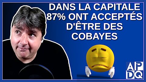 Dans la capital 87% de la population a accepté d'être des cobayes.