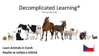 Learn animal pronunciation in Czech