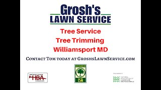 Tree Service Williamsport MD Landscaping Contractor