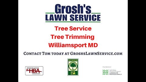 Tree Service Williamsport MD Landscaping Contractor