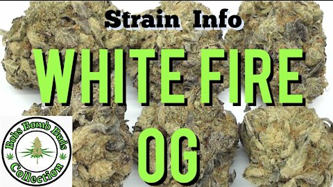 White Fire OG, BC Bud Supply.