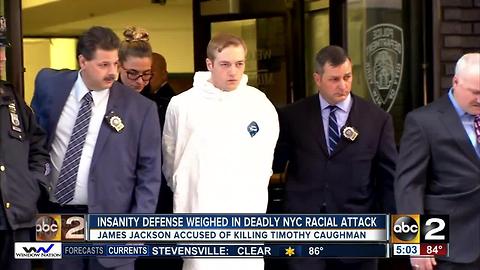 Insanity defense weighed in deadly NYC racial attack