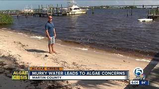 People fearful of algae blooms from Lake Okeechobee discharge