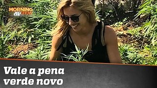 Vale a pena verde novo: uma jornalista da Globo em meio a pés de maconha