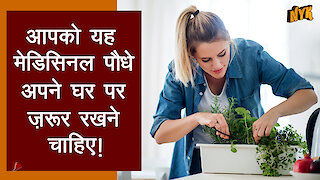 टॉप 4 मेडिसिनल पौधे जो आपके घर मे होने चाहिए