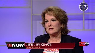 Sen. Grove discusses law enforcement bills