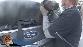 Police incredibly rescue dog from burning SUV