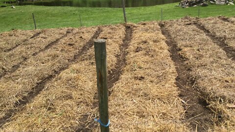 Planted my seeds today #154 Heirloom Organic Vegetable Garden Series June 20th, 2021