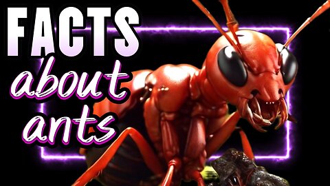 Fascinating facts about ants