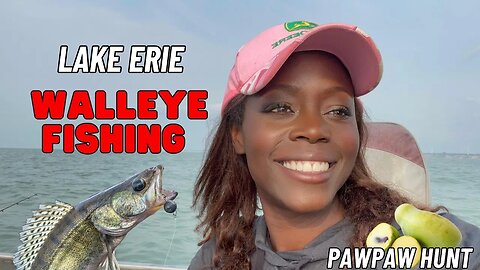 Catching Giant Walleye in Lake Erie & Successful Pawpaw Hunting Adventure