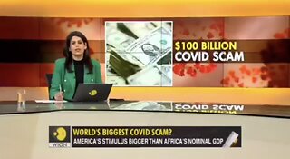 The $100B COVID Scam
