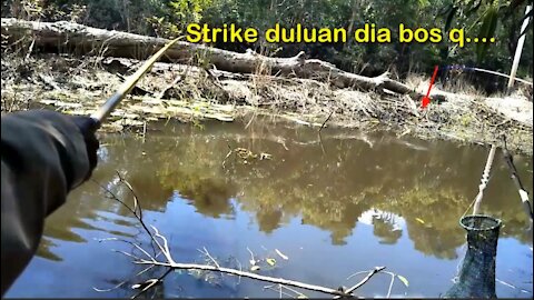 Mancing Ikan Betok di Lokasi yang Sama tapi Hasilnya Berbeda