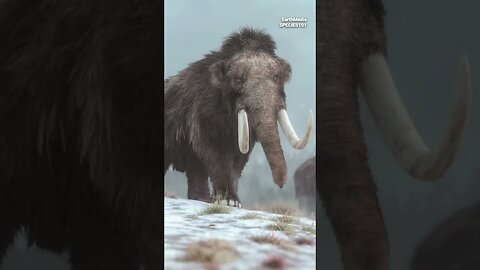 Scientists Created Massive Meatball from Wooly Mammoth DNA