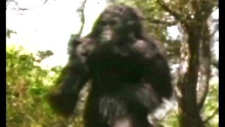 TERRIFYING BIGFOOT ASSAULT captured on 911 call!/ Jerry Cline