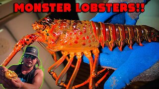 FISHING For The BIGGEST LOBSTER In The WORLD! CHEESY Lobster TACOS Recipe!!