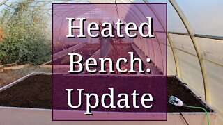 Heated Bench: Update