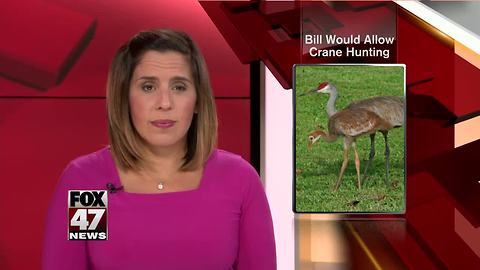 Bill to allow Sandhill crane hunting advances