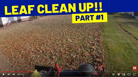 Leaf Clean Up - Part #1