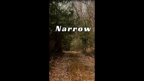 Jeep - Narrow Road #shorts