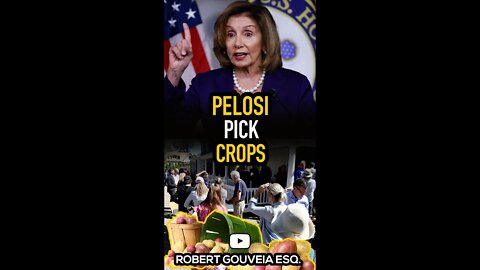 Pelosi Wants More Immigrants to Pick Crops #shorts