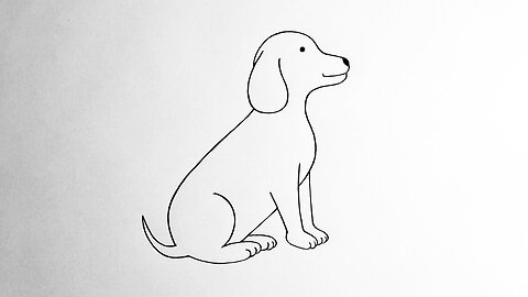 How To Draw A Dog Step By Step