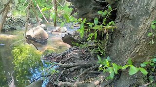 Enjoy some time down by the creek.