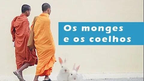 #leidaatração #conselho #pensepositivo Os monges e os coelhos | A resposta vem de dentro