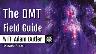 Adam Butler | The Psychedelic Spirit Molecule: DMT Realms & The Hard Problem of Consciousness